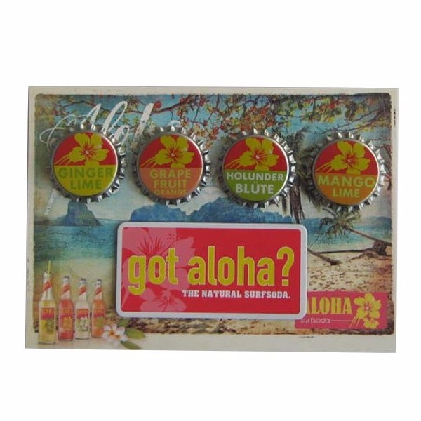 Aloha-Magnet-600